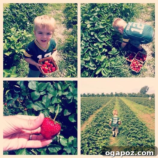 Garden Fresh Skillet Pasta 2 strawberry picking