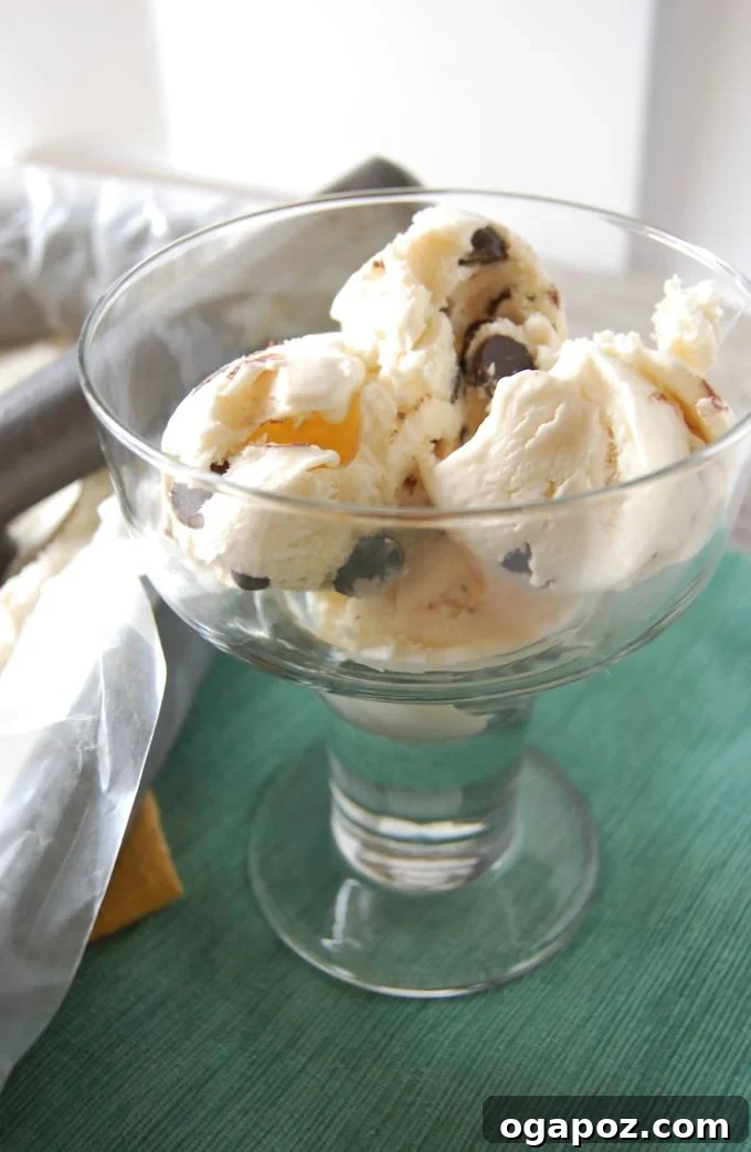 Peppermint Chip Ice Cream Delight 3 Peppermint Ice Cream