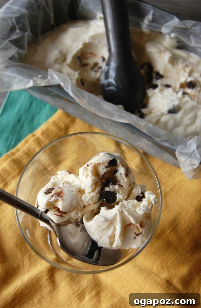 Peppermint Chip Ice Cream Delight 4 Peppermint Ice Cream