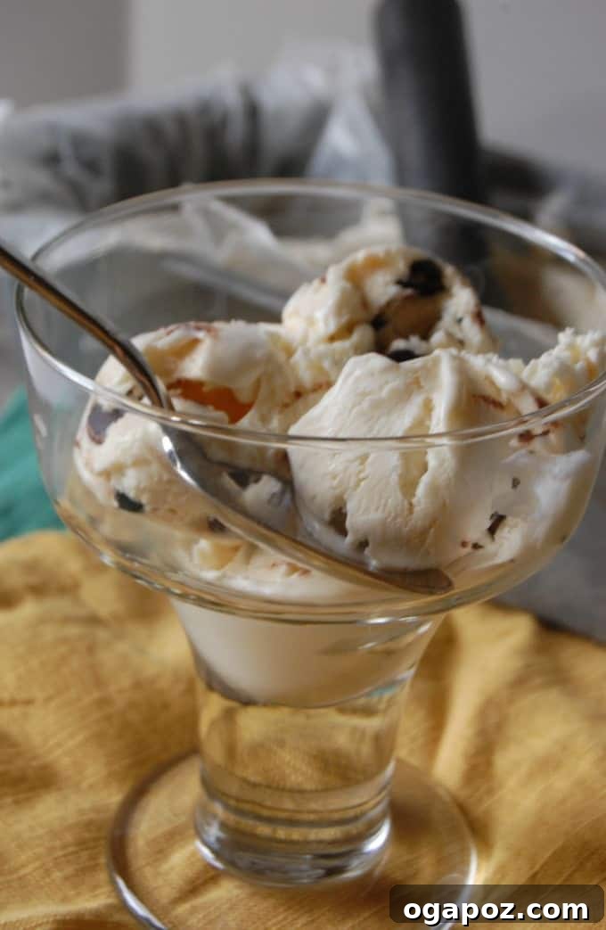Peppermint Chip Ice Cream Delight 5 Peppermint Ice Cream