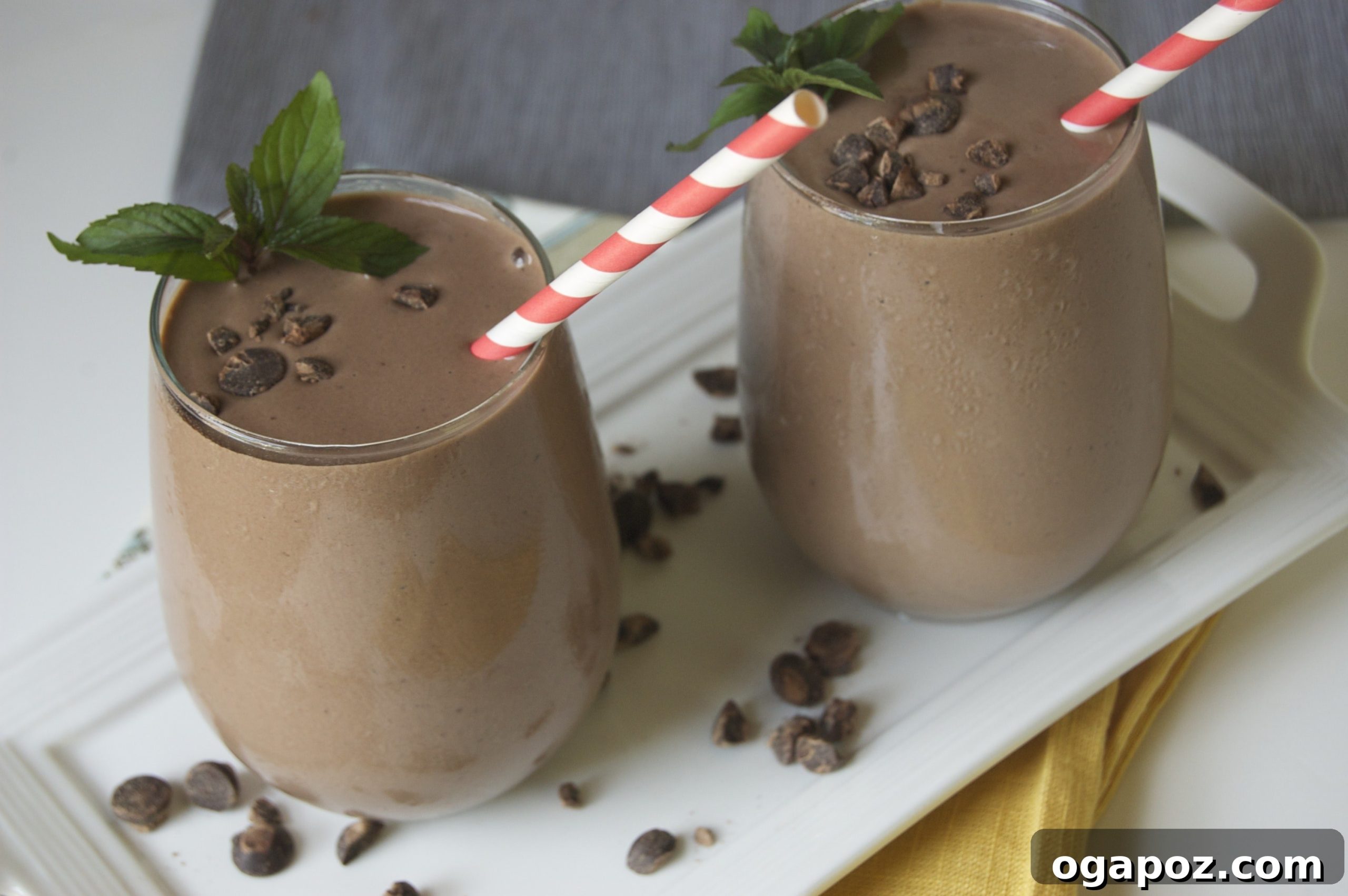 Wintermint Cacao Bliss 4 Closeup of Peppermint Cacao Smoothie showing its thick, creamy texture
