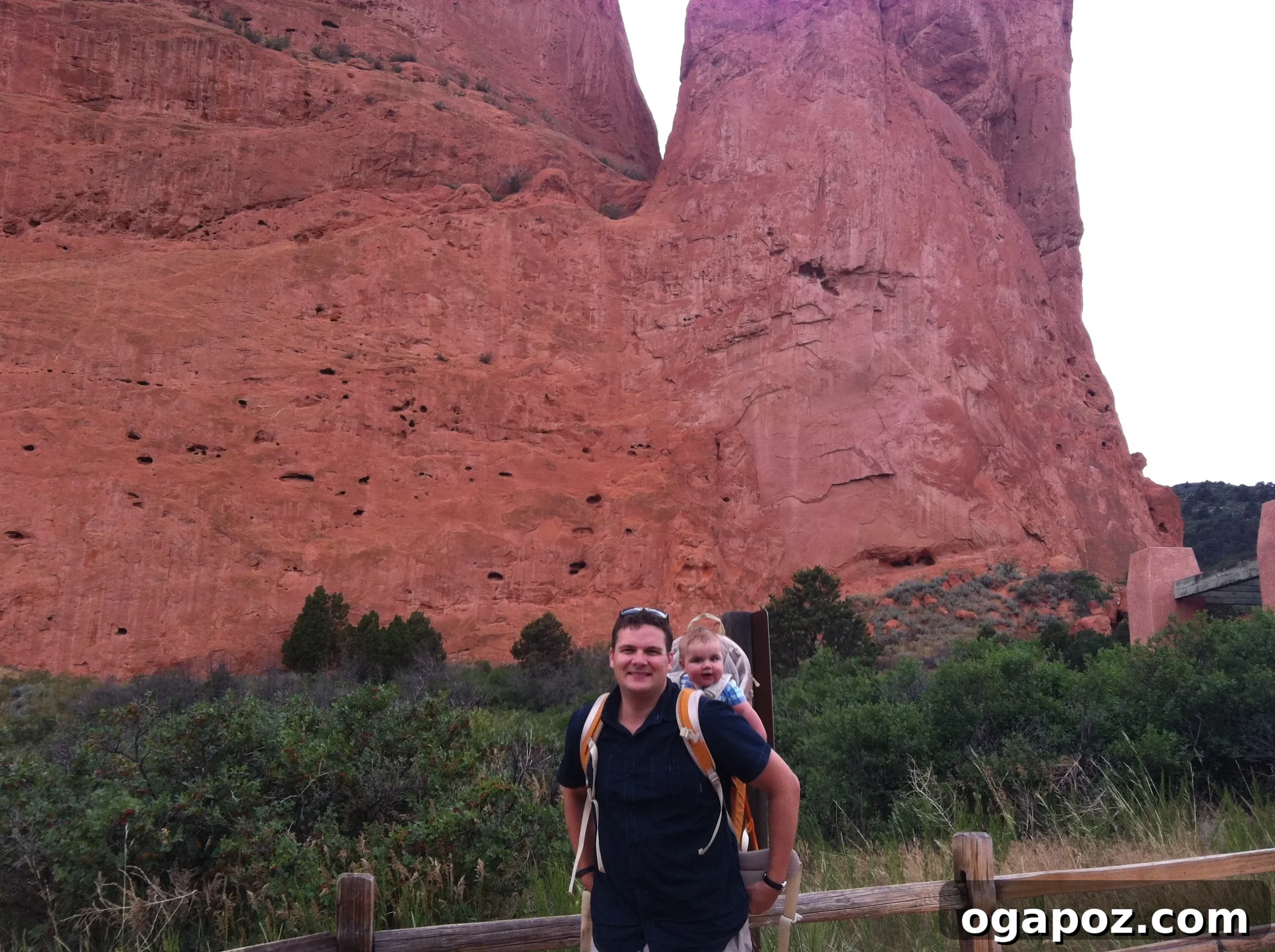 Close-up of intricate red rock patterns at Garden of the Gods, Colorado