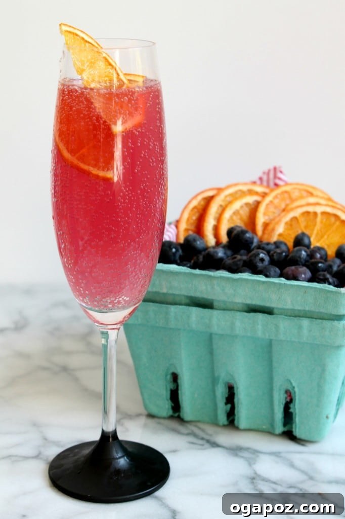 85 Summer Sips to Beat the Heat 7 Citrus Hibiscus Fizz in a tall glass with citrus slices