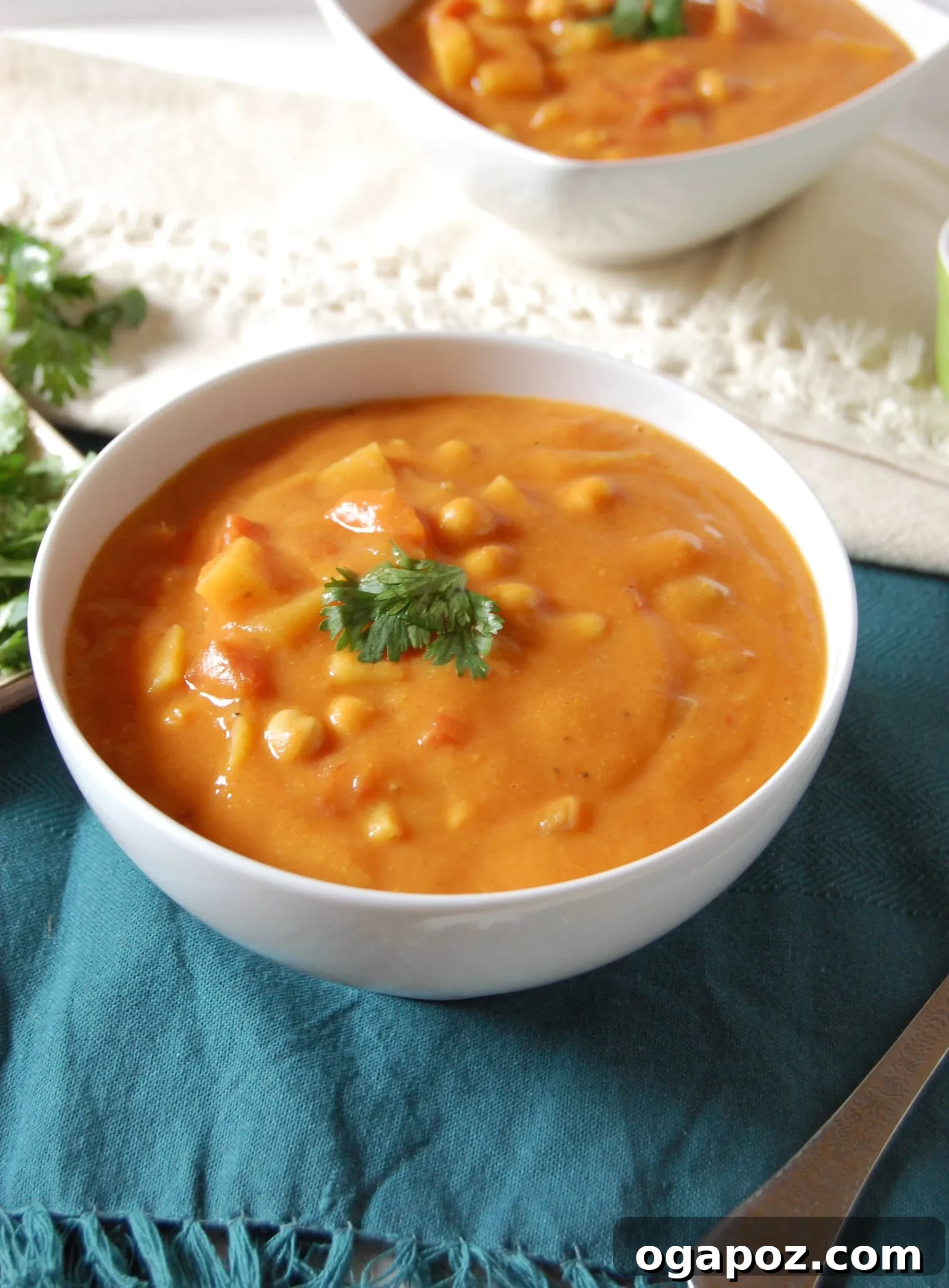 Aromatic Indian Chickpea Vegetable Soup 2 A beautifully presented bowl of Indian Spiced Vegetable Chickpea Soup, garnished with fresh green cilantro, against a rustic background.