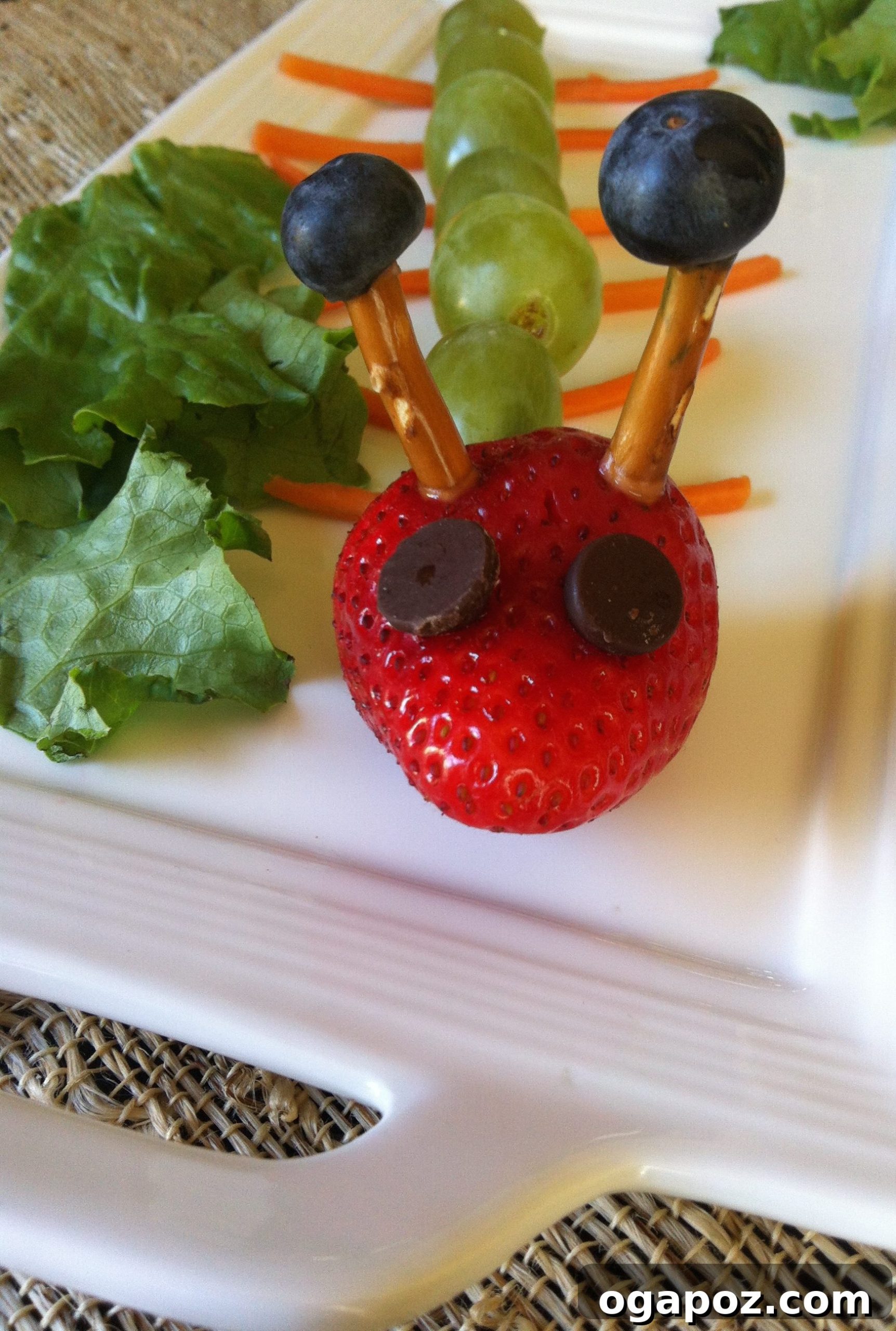 Fun Fruit Caterpillars 2 Fruit Caterpillar made with grapes and a strawberry head