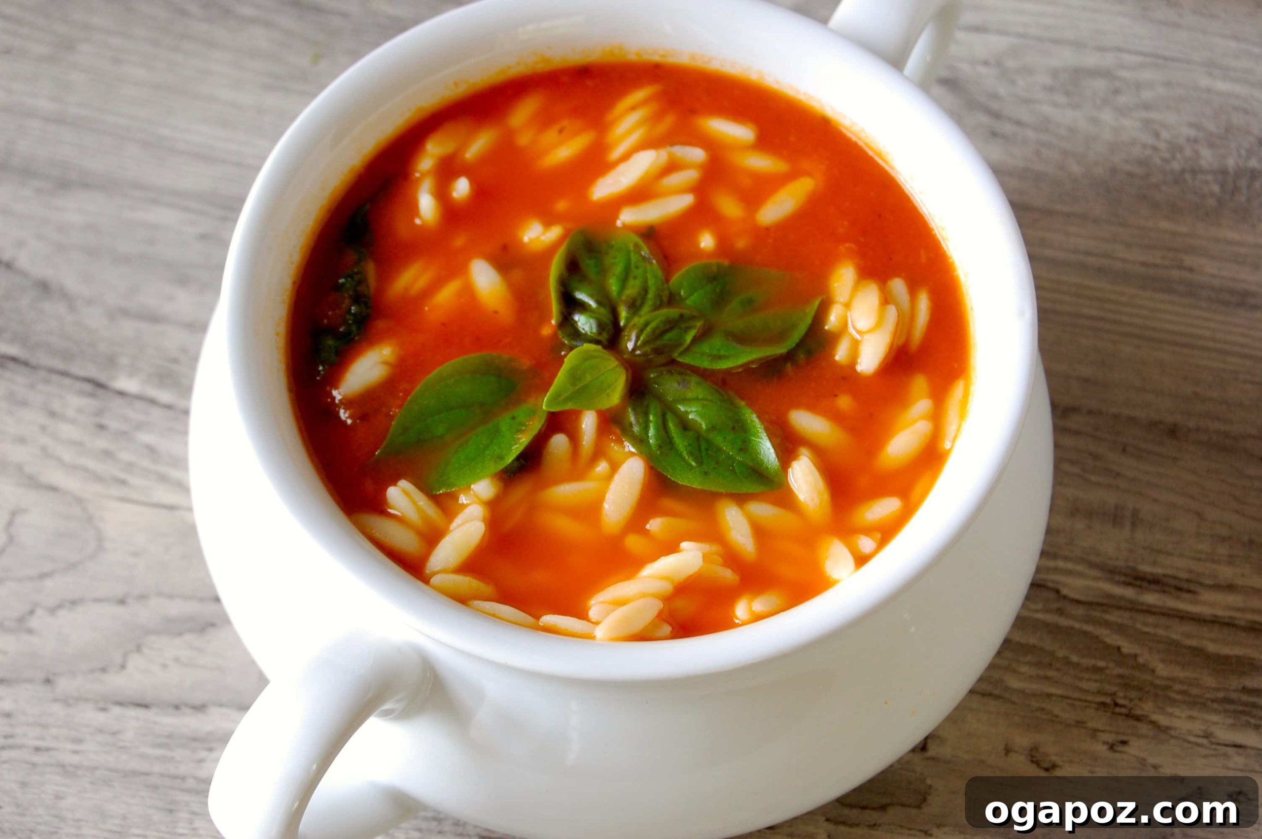 Comforting Tomato Spinach Orzo Soup 2 Tomato Spinach Orzo Soup
