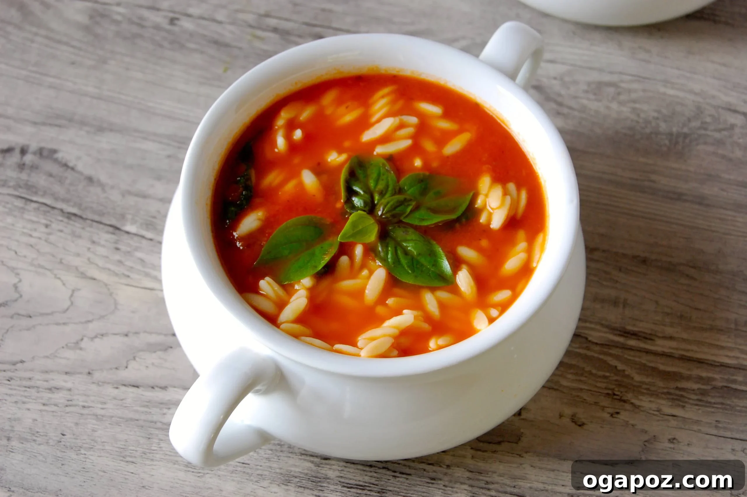Comforting Tomato Spinach Orzo Soup 3 Tomato Spinach Orzo Soup