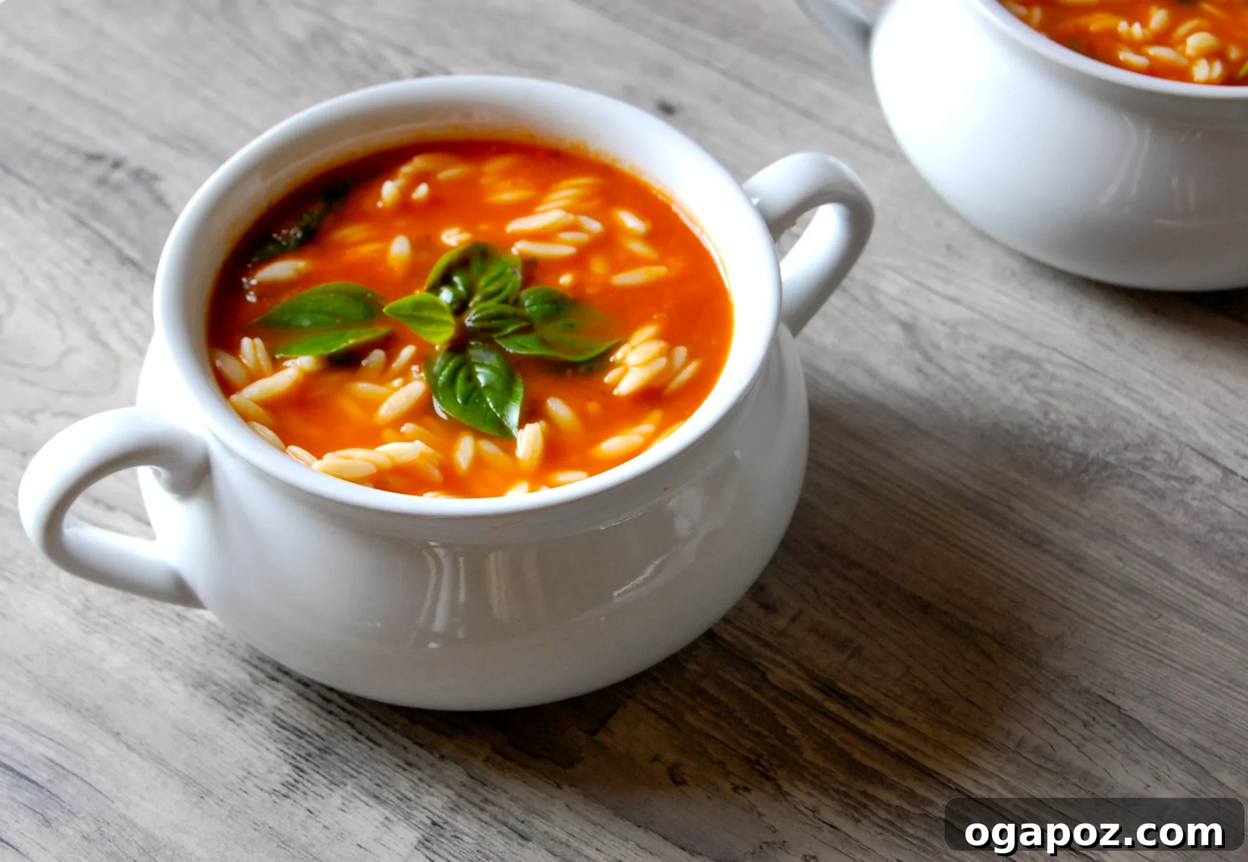 Comforting Tomato Spinach Orzo Soup 4 Tomato Spinach Orzo Soup