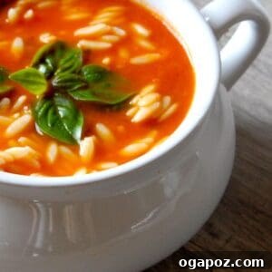 Comforting Tomato Spinach Orzo Soup 5 Tomato Spinach Orzo Soup 1200 x 1200