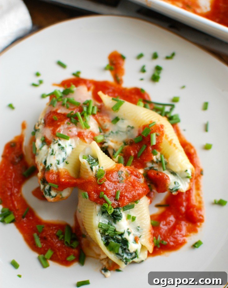 Baked Cheesy Ricotta Shells 2 Baked Stuffed Shells in a white casserole dish, garnished with fresh herbs and a golden-brown cheesy topping, ready to be served for a comforting family meal.