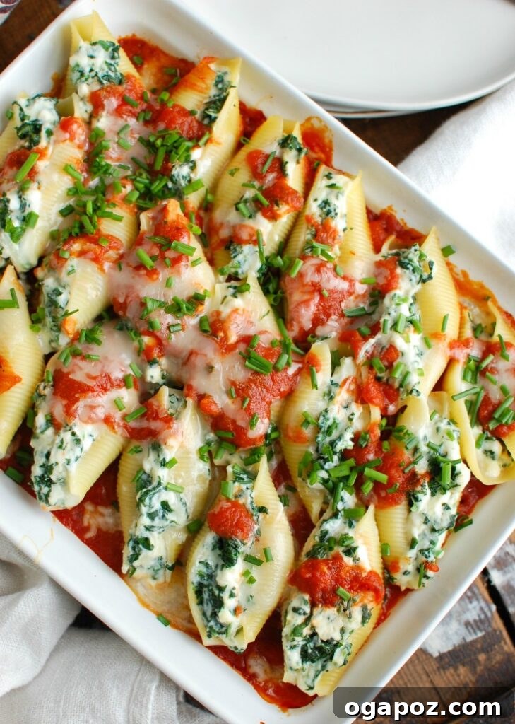 Baked Cheesy Ricotta Shells 4 Hands carefully stuffing a jumbo pasta shell with the creamy ricotta and herb mixture, showing the meticulous preparation process for this comforting dish.