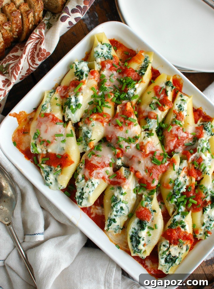 Baked Cheesy Ricotta Shells 5 A large white baking pan filled with golden-brown, cheesy Stuffed Shells, freshly baked and ready to be served, highlighting the comforting and hearty nature of the dish.