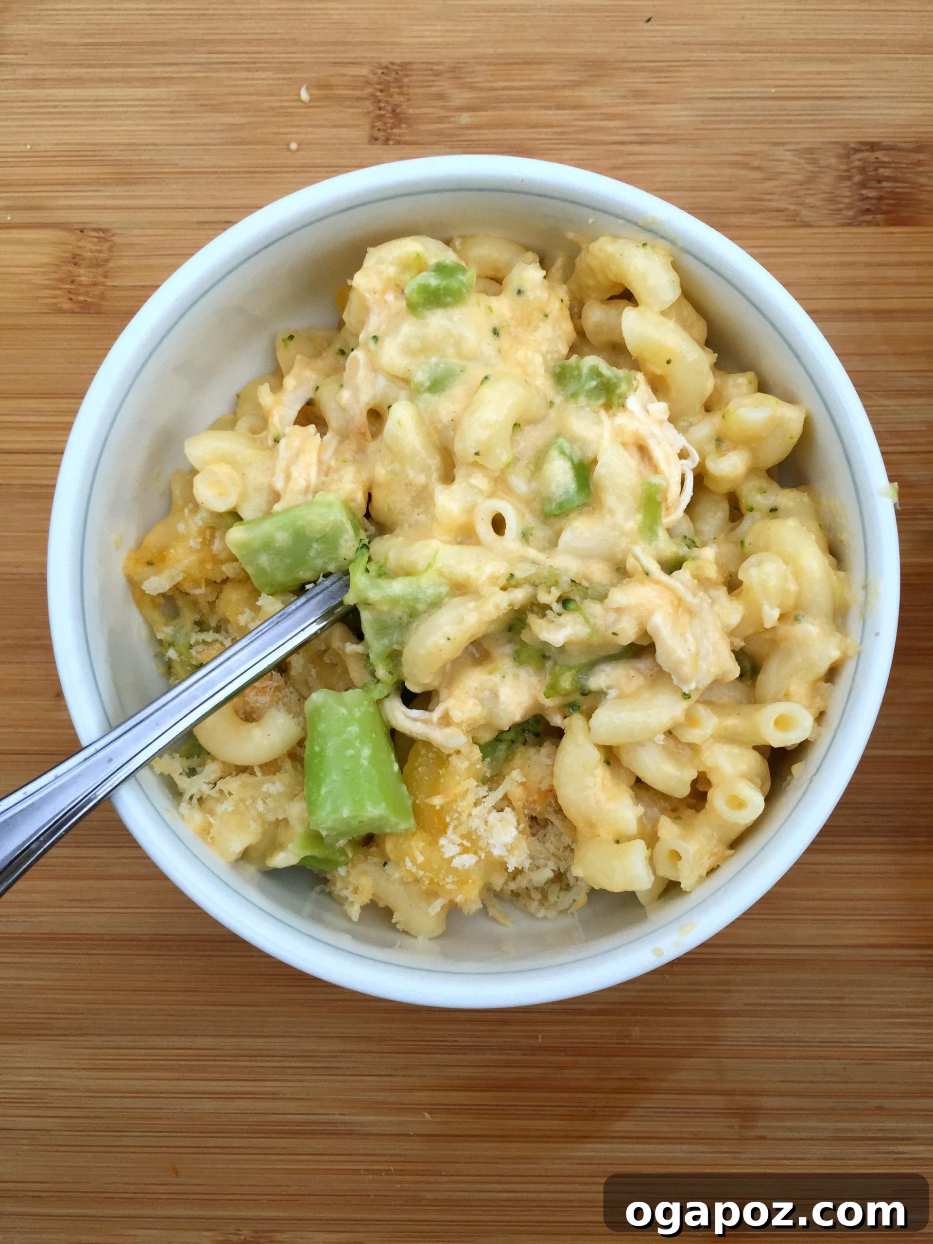 Loaded Chicken Broccoli Mac and Cheese 4 Baked Chicken Broccoli Macaroni and Cheese ready to serve