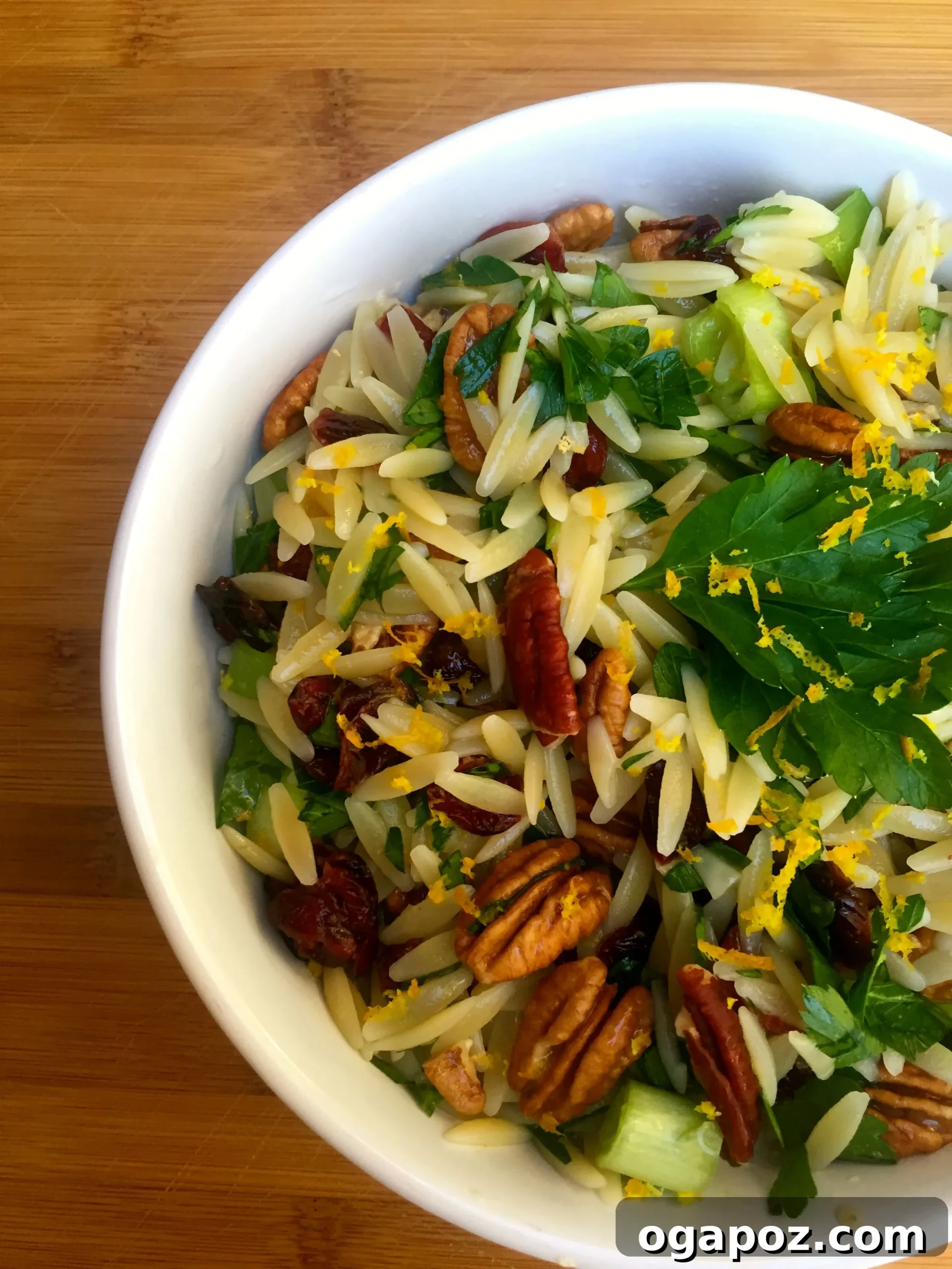 Vibrant Cranberry Orange Orzo Salad with Toasted Pecans 2 Vibrant Cranberry, Pecan, and Orange Orzo Pasta Salad, perfect for holiday meals
