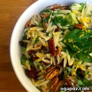Vibrant Cranberry Orange Orzo Salad with Toasted Pecans 4 Cranberry, Pecan and Orange Orzo Pasta Salad