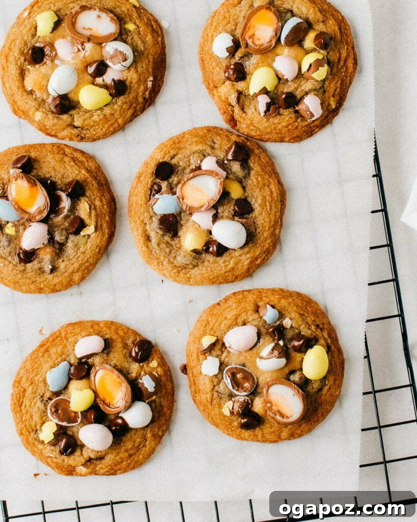 Irresistible Cadbury Mini Egg Cookies 2 Close-up of freshly baked Cadbury Mini Egg Cookies with whole and halved mini eggs on top.