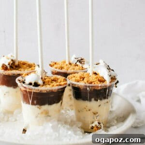 How to Make Frozen Smores Ice Cream Pops Recipe
