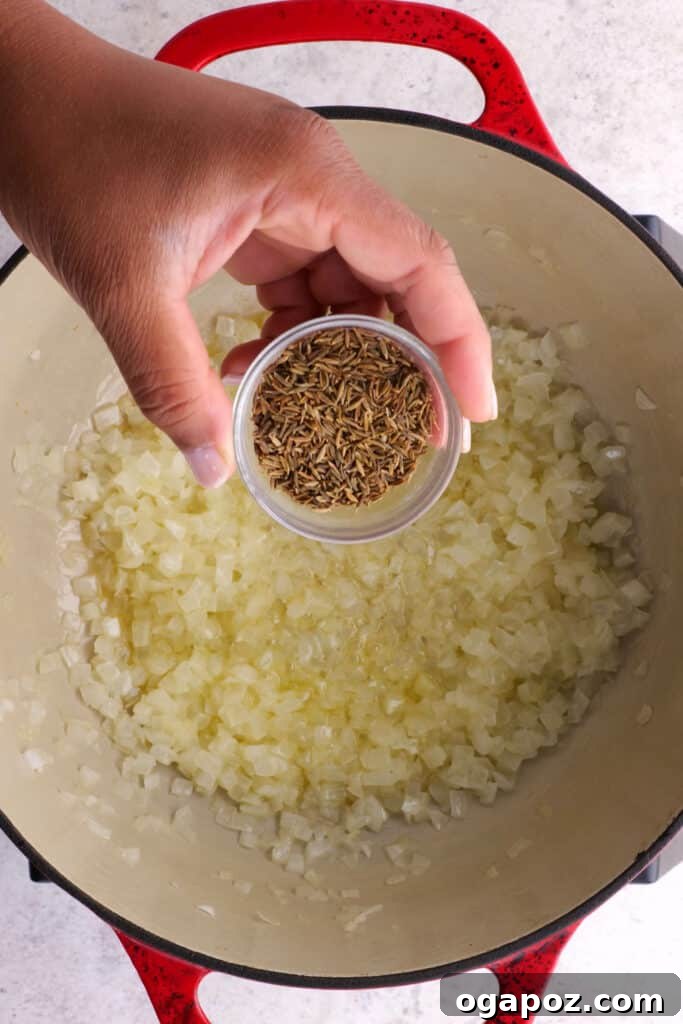 Creamy Madras Lentil Curry 4 cumin seeds and minced onions