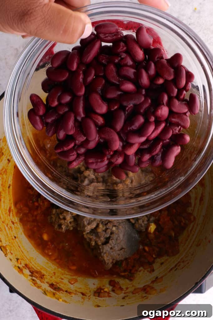 Creamy Madras Lentil Curry 7 adding the beans and lentils to the mixture