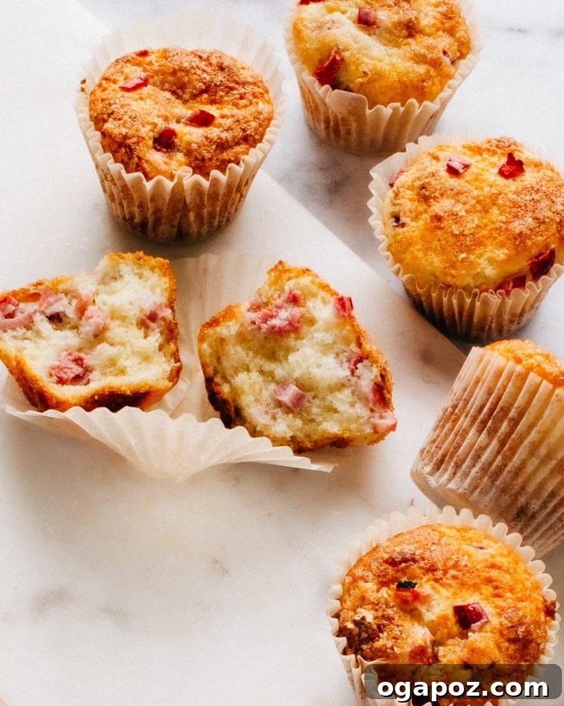 Wholesome Rhubarb Yogurt Muffins 2 Healthy Rhubarb Muffin Recipe - Freshly baked muffins with rhubarb topping