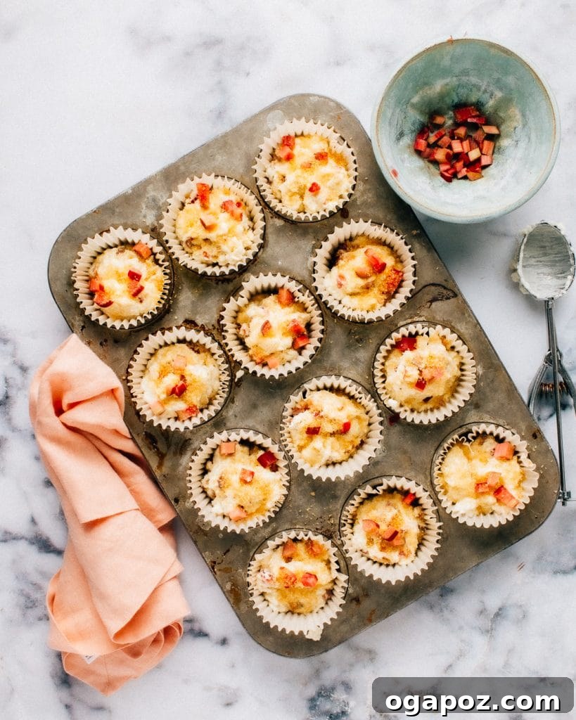Wholesome Rhubarb Yogurt Muffins 5 Partially mixed muffin batter with some floury streaks before adding rhubarb.