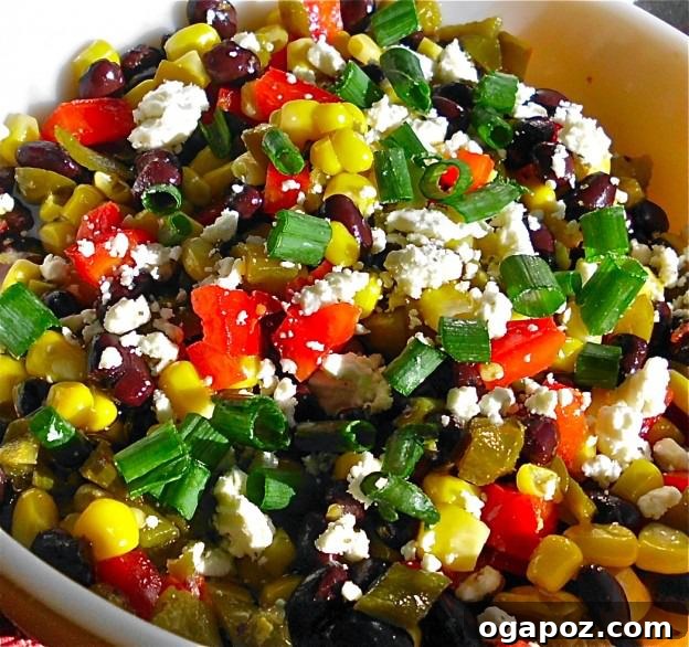 Color Your Plate 14 Black Bean and Feta Cheese Dip, a savory appetizer