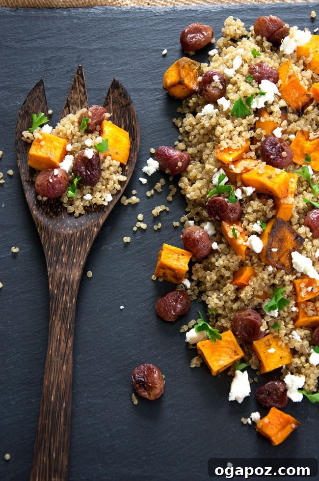 Color Your Plate 38 Butternut Squash Quinoa Salad with Goat Cheese and Roasted Grapes, a gourmet salad