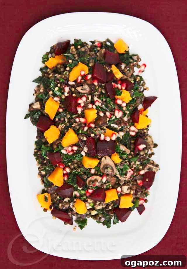 Color Your Plate 43 Lentil Salad with Kale, Whole Grains, Beets and Pomegranate Seeds, a nutrient-packed superfood salad