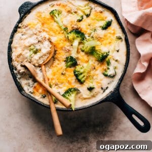 Golden brown Chicken Rice Casserole, bubbling hot, topped with crispy breadcrumbs and melted cheese.