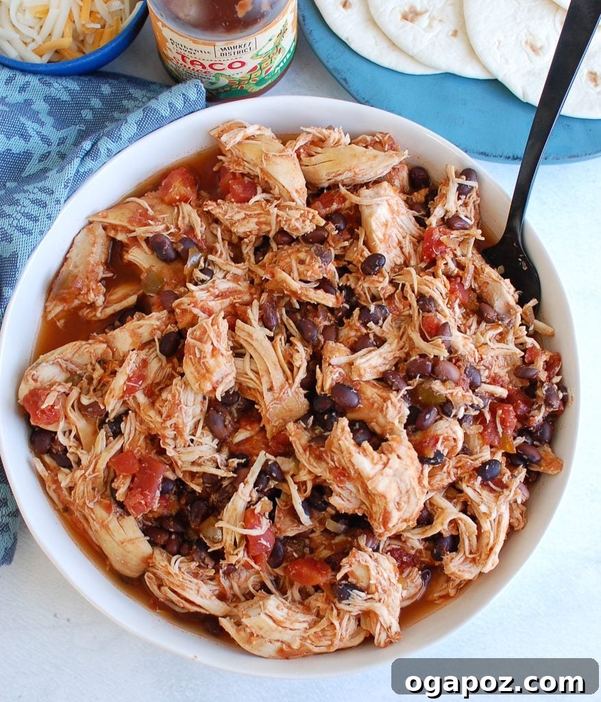Close-up of Slow Cooker Shredded Chicken with a fork.