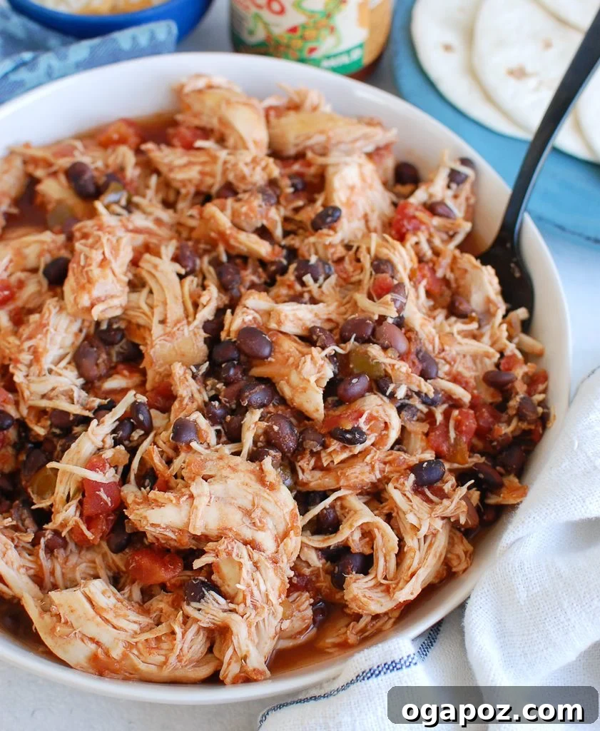 Slow Cooker Shredded Chicken served with a teal napkin.