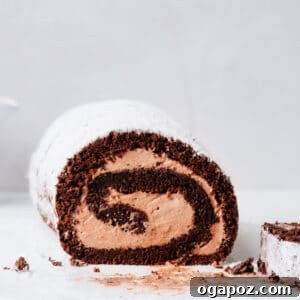 Sliced Chocolate Swiss Roll Cake on the counter, ready to be enjoyed.