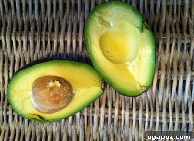 avacado 2 Quick & Easy Guacamole