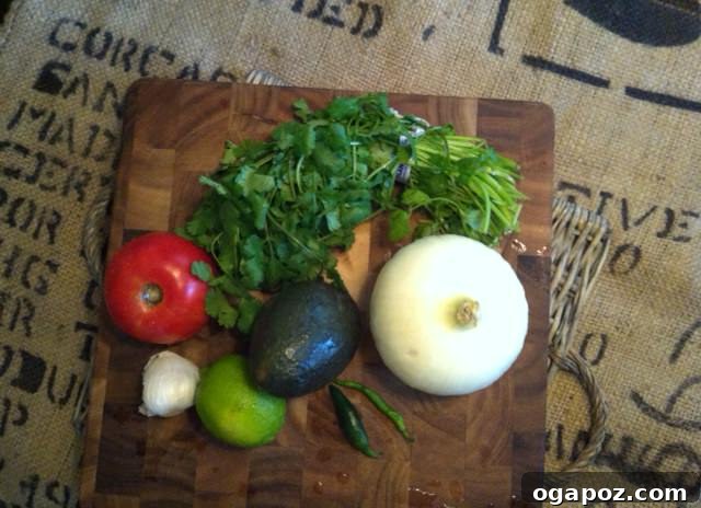Veggies 2 Quick & Easy Guacamole ingredients