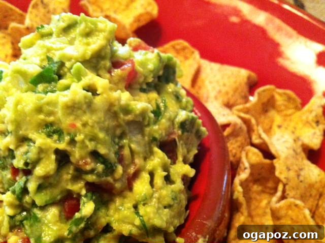 Really close guac Quick & Easy Guacamole - acedarspoon.com