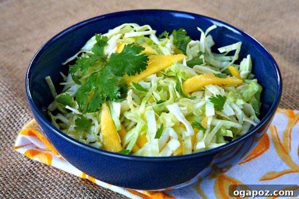 Mango Slaw Colorful mango slaw with shredded cabbage, fresh mango, and cilantro