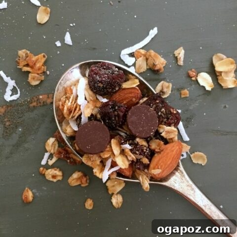 Header image for Dark Chocolate Cherry Almond Granola recipe