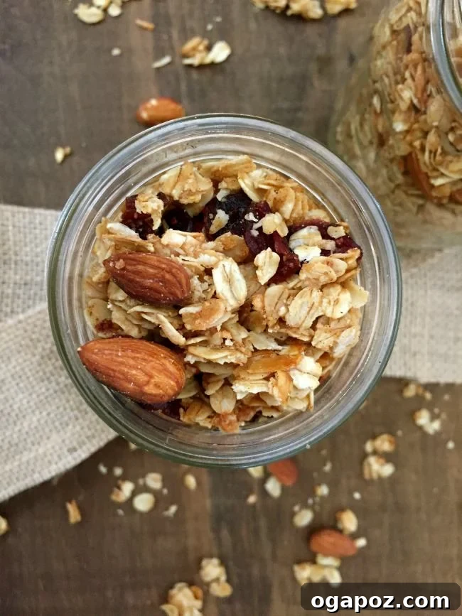 Decadent Dark Cherry Almond Granola 6 A bowl of Coconut Cranberry Chia Seed Granola with fresh fruit.