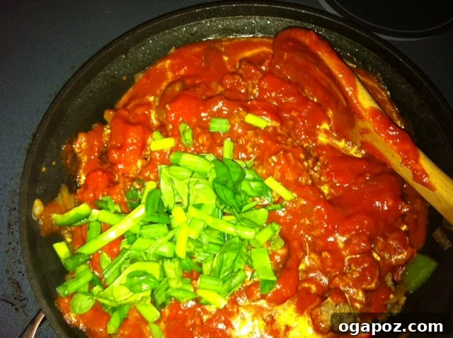 goulash with herbs Ground beef and vegetables simmering in pasta sauce with herbs and mozzarella for goulash