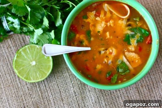 Spicy Tortilla Soup Spicy Tortilla Soup, topped with tortilla strips, avocado, and fresh cilantro.
