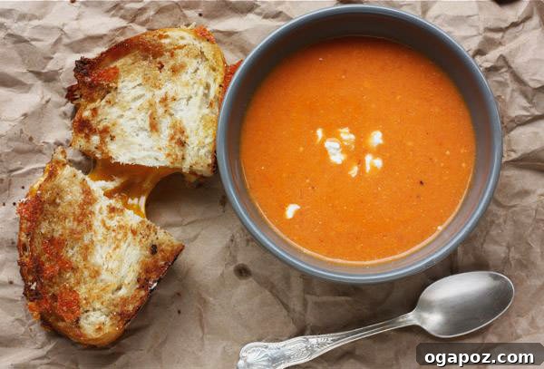 Goat Cheese Tomato Soup Creamy Goat Cheese Tomato Soup, a gourmet twist on a classic comfort food.
