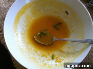 Golden Roasted Butternut Bliss 10 Close-up of a bowl of butternut squash soup with a spoon