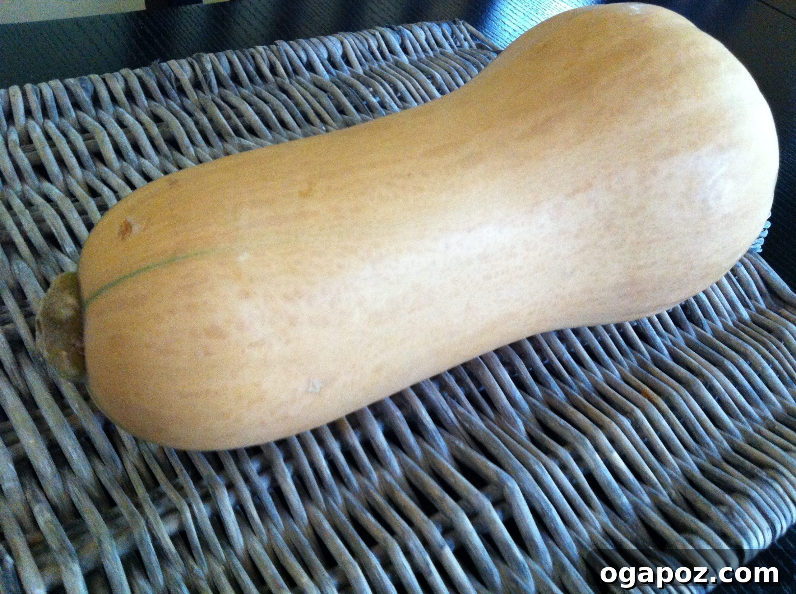 Golden Roasted Butternut Bliss 2 Whole butternut squash ready to be prepared for Roasted Butternut Squash Soup