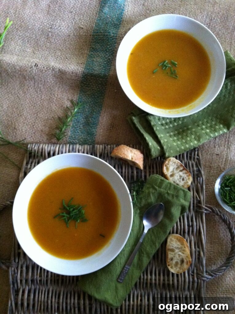 Golden Roasted Butternut Bliss 7 Two bowls of creamy Roasted Butternut Squash Soup ready to be served