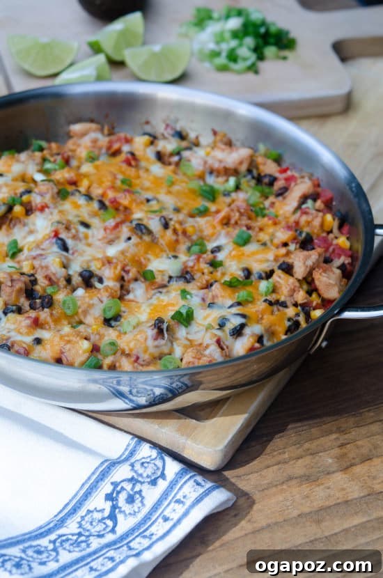 20 Effortless One-Pot Dinners 14 Tex-Mex-Chicken-and-Rice-Skillet-eHow-069-e1416250519933