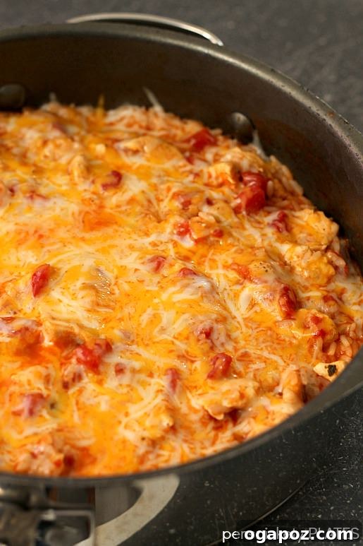 20 Effortless One-Pot Dinners 8 southwest-chicken-skillet21