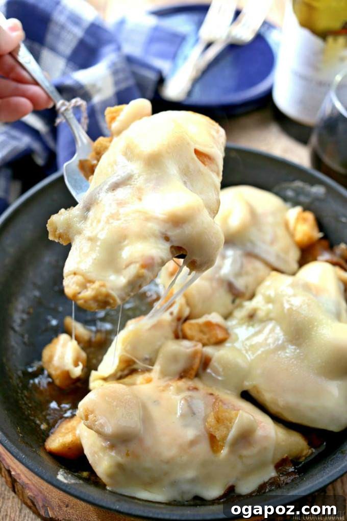 20 Effortless One-Pot Dinners 10 skillet-french-onion-chicken-6