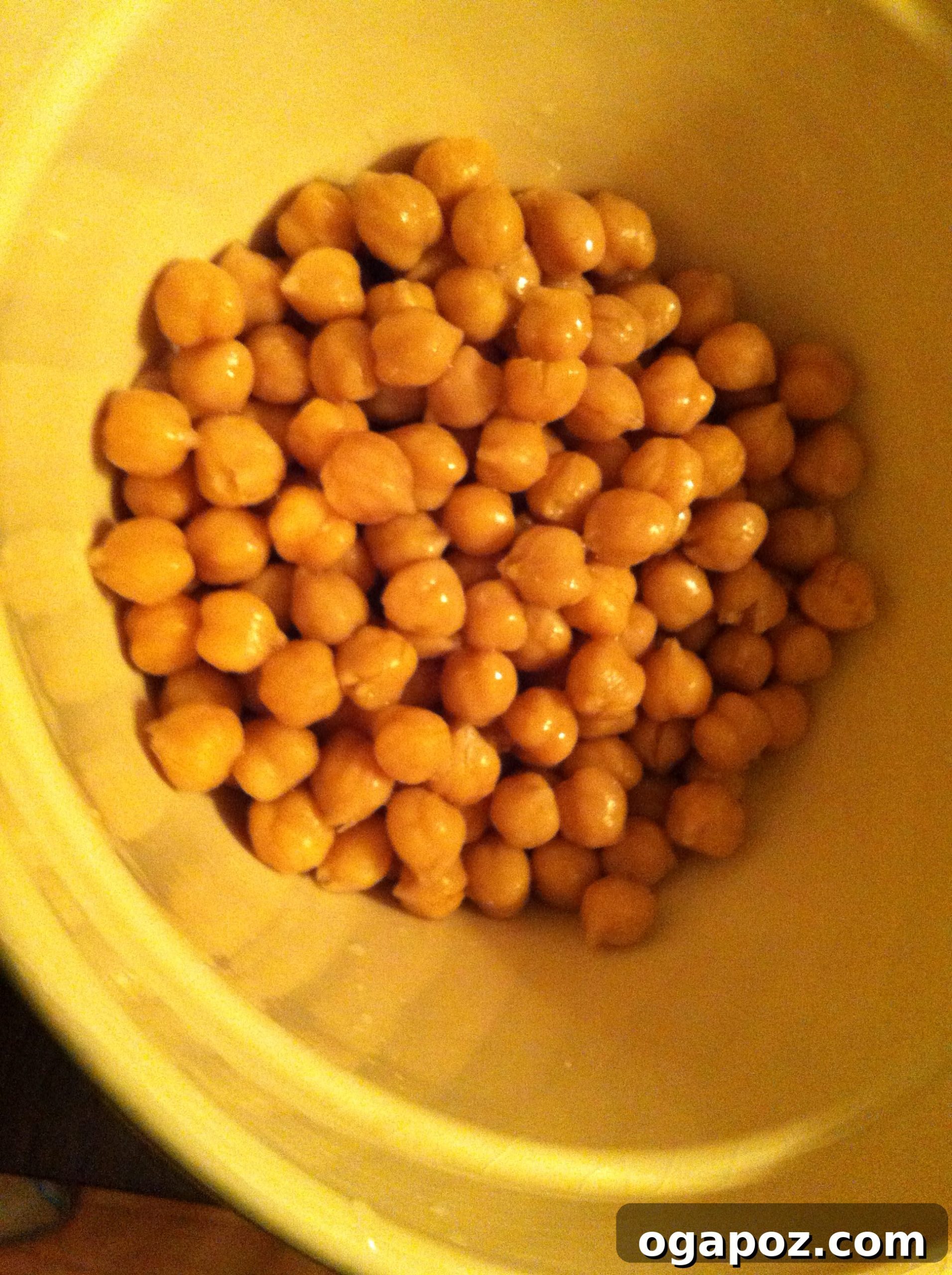 Clean and Dry Chickpeas in Bowl Rinsed and dried chickpeas in a large mixing bowl, ready for seasoning