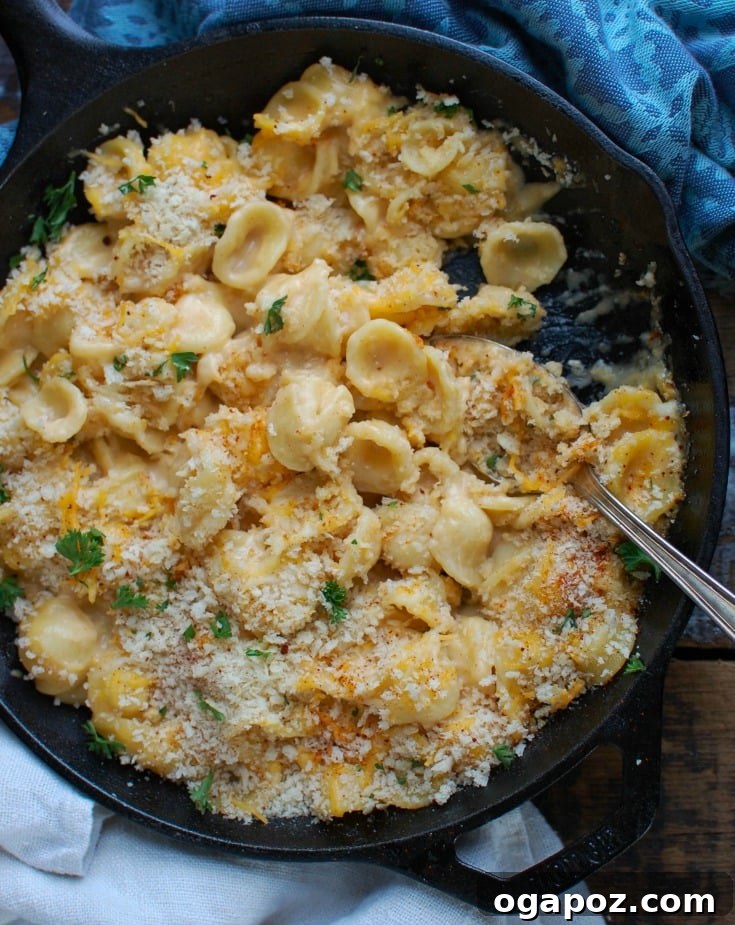 Golden Crusted Baked Mac and Cheese 5 Baked Mac and Cheese with Panko Breadcrumbs with spoon