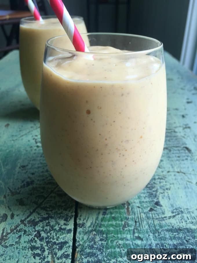 Paradise Yogurt Blend 4 A refreshing Tropical Yogurt Smoothie, ready for a healthy meal
